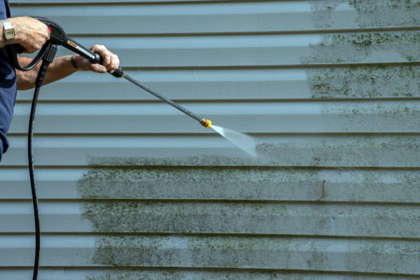 Best Sidewalk and Walkway Cleaning  in Seneca, IL