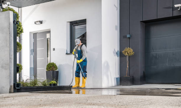 Best Soft Washing  in Seneca, IL